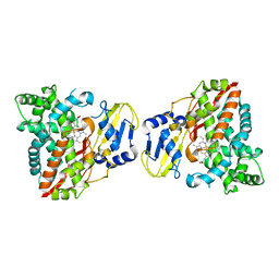 BU of 8hg9 by Molmil