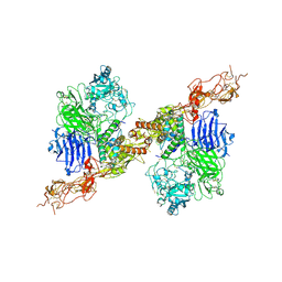 BU of 8hgh by Molmil