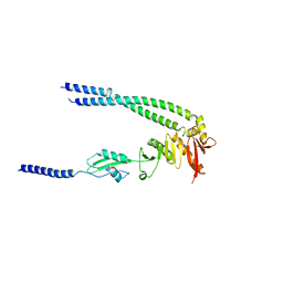 BU of 8hhf by Molmil