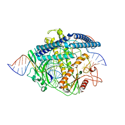 BU of 8hhl by Molmil