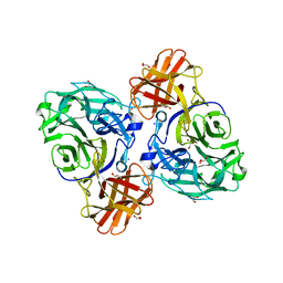 BU of 8hhv by Molmil