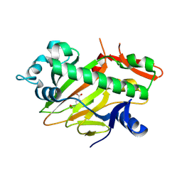 BU of 8hiv by Molmil