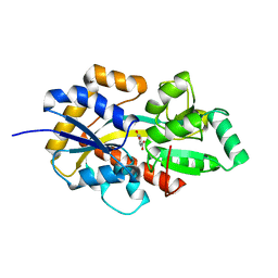 BU of 8hkb by Molmil