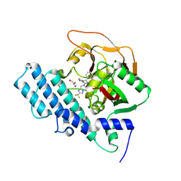 BU of 8hkn by Molmil