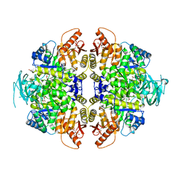 BU of 8hmr by Molmil