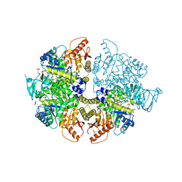 BU of 8hmu by Molmil