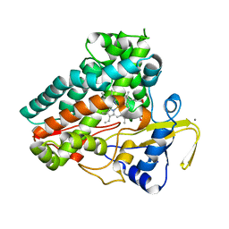 BU of 8ho1 by Molmil