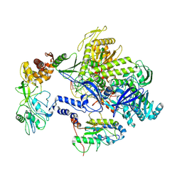 BU of 8hpa by Molmil