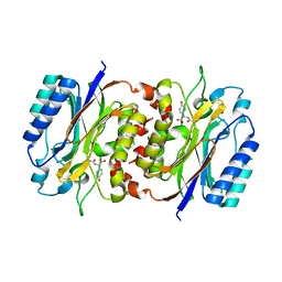 BU of 8hpc by Molmil