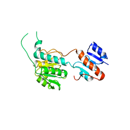 BU of 8hpg by Molmil