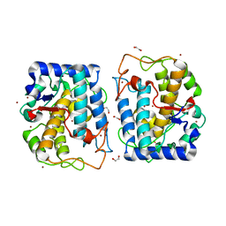 BU of 8hpi by Molmil