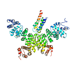 BU of 8hpp by Molmil