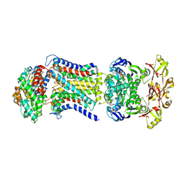 BU of 8hpr by Molmil