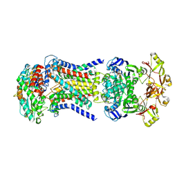 BU of 8hps by Molmil