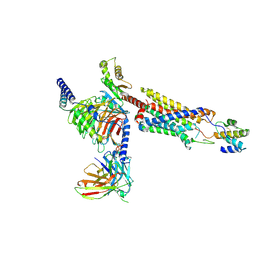 BU of 8hqc by Molmil