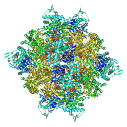 BU of 8hrc by Molmil