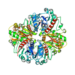 BU of 8hrt by Molmil