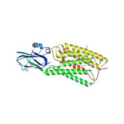 BU of 8hsi by Molmil