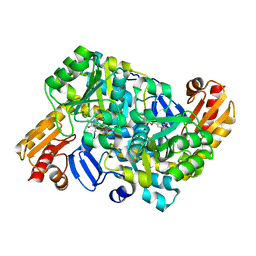 BU of 8ht4 by Molmil