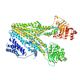 BU of 8hw2 by Molmil