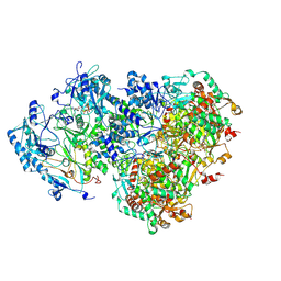 BU of 8hwa by Molmil