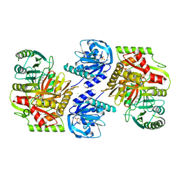 BU of 8hx7 by Molmil