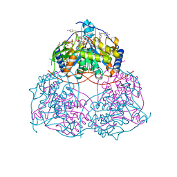 BU of 8i2b by Molmil