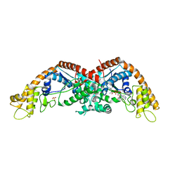 BU of 8i2c by Molmil