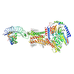 BU of 8i2g by Molmil