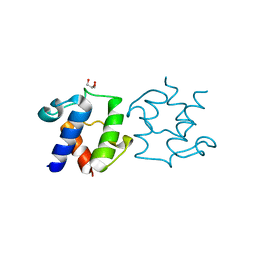 AU of 8i32 by Molmil