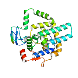 BU of 8i3f by Molmil