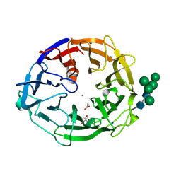 BU of 8i4d by Molmil