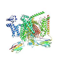 BU of 8i5b by Molmil