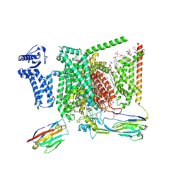 BU of 8i5x by Molmil