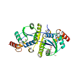 AU of 8i8j by Molmil