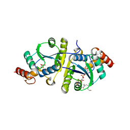 AU of 8i8k by Molmil