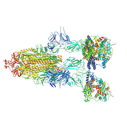 BU of 8i9c by Molmil