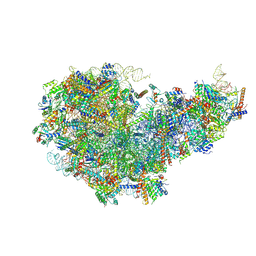 BU of 8i9t by Molmil