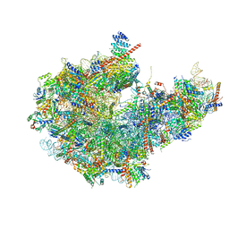 BU of 8i9v by Molmil