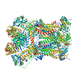 BU of 8iar by Molmil