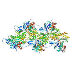 BU of 8ib2 by Molmil