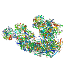 BU of 8ib4 by Molmil