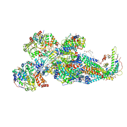 BU of 8ib5 by Molmil