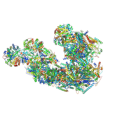 BU of 8ib9 by Molmil