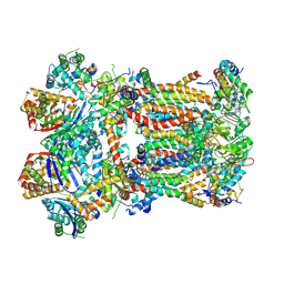 BU of 8ibc by Molmil