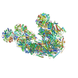 BU of 8ibd by Molmil