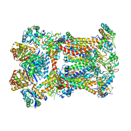 BU of 8ibg by Molmil