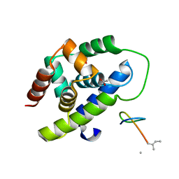 BU of 8ibp by Molmil