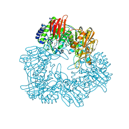 BU of 8ibr by Molmil