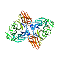 BU of 8ic1 by Molmil